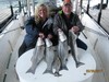 (03/28/2017) - Nice Striped Bass